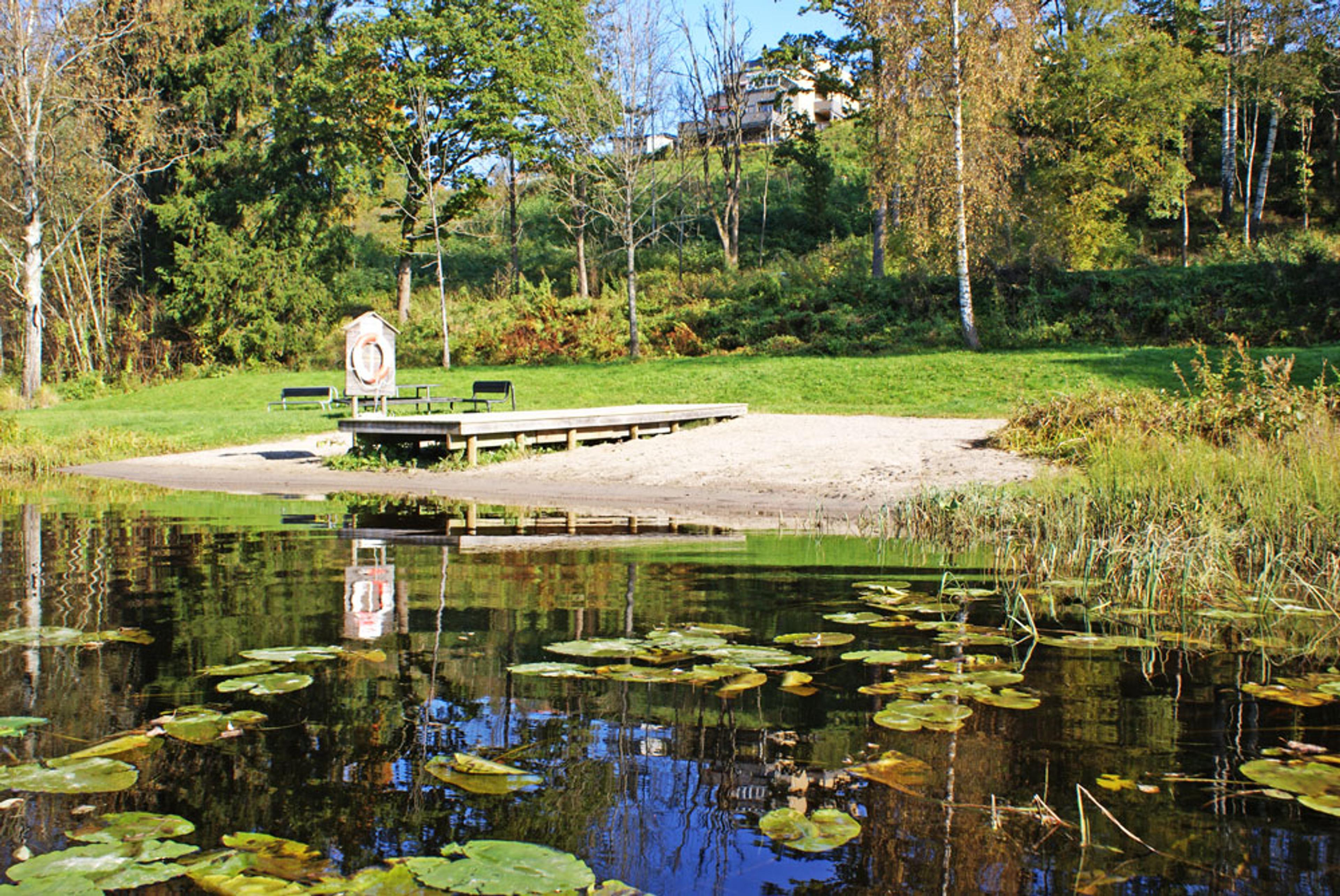 Falkumlia badeplass med sandstrand og brygge