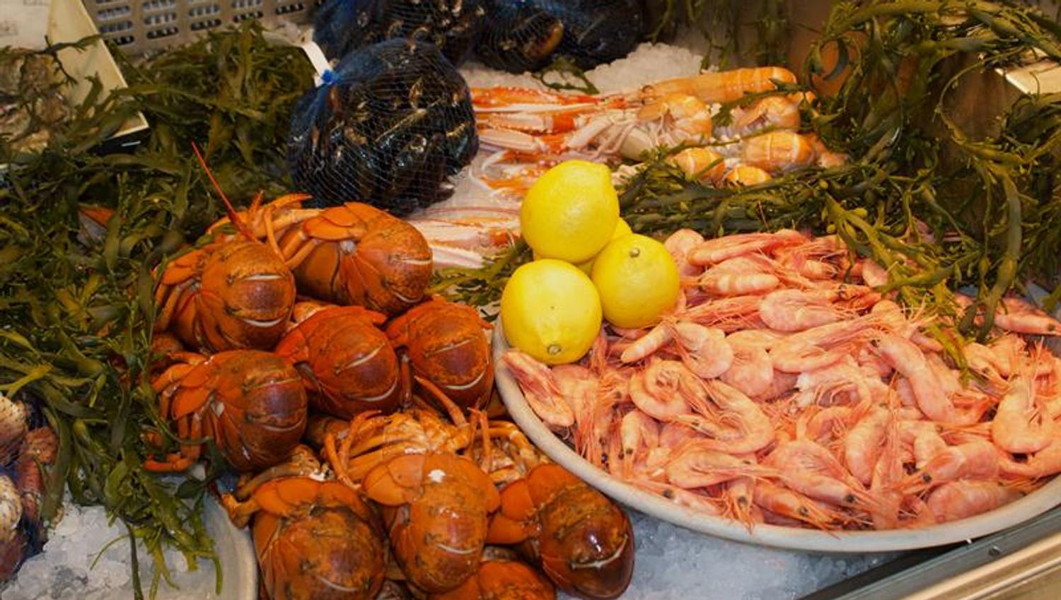 Reker, krabber, blåskjell og kreps i fiskedisken