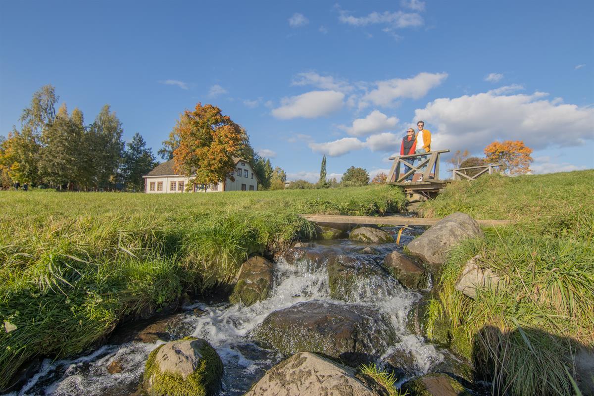 En liten bekk renner mellom steiner i et grønt landskap under blå himmel.