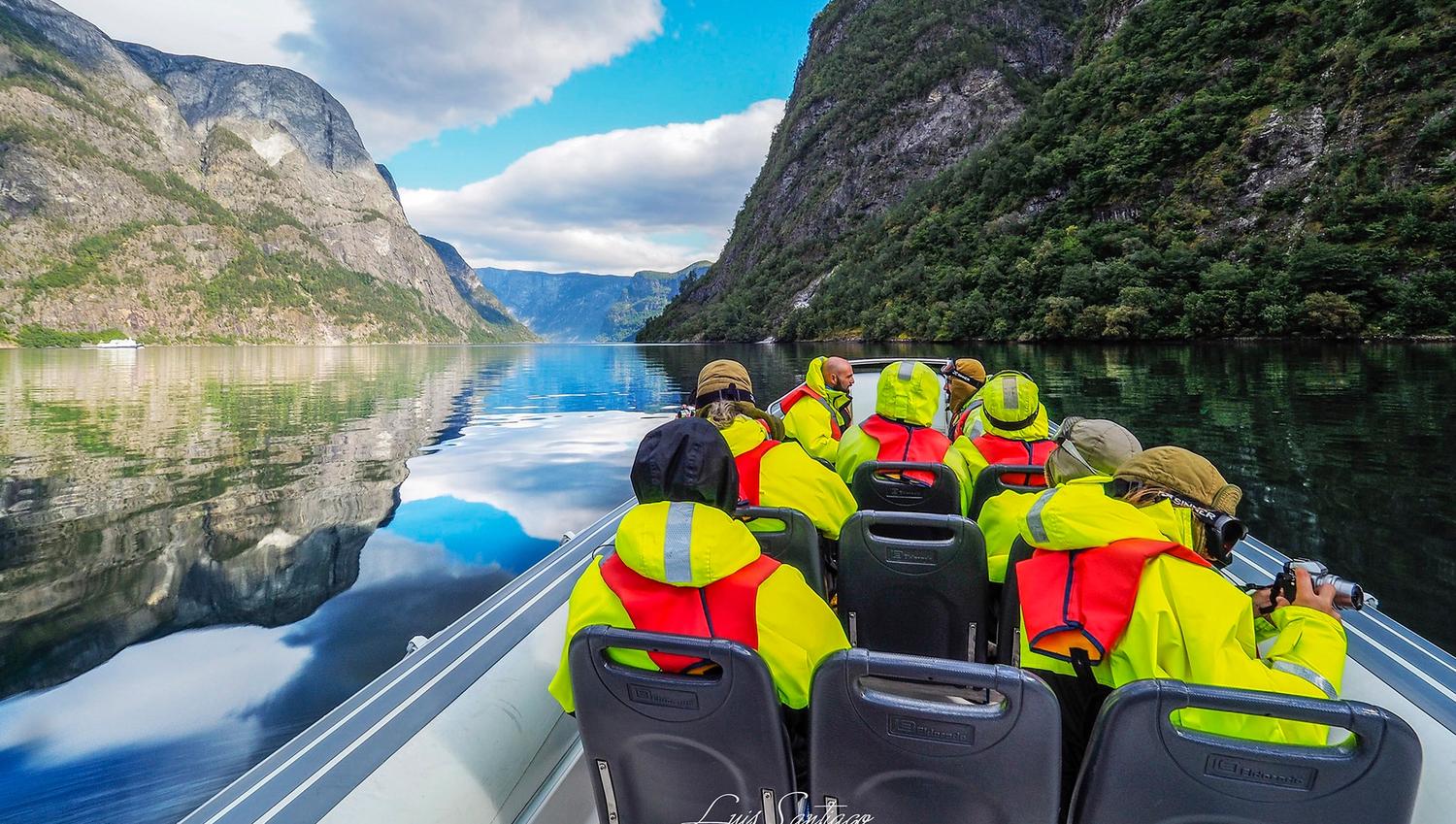 Fjord safari