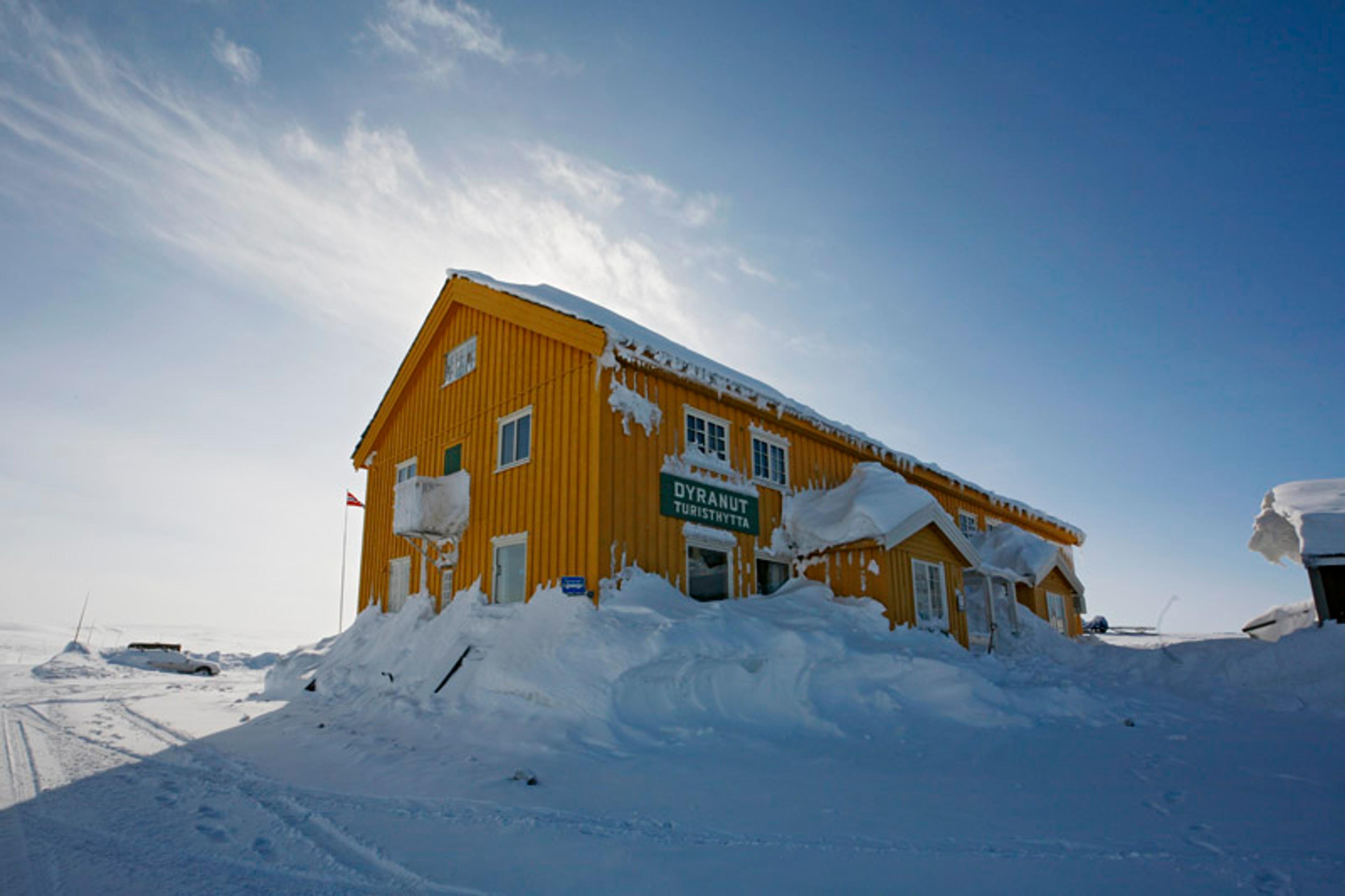 Dyranut Turisthytta 1