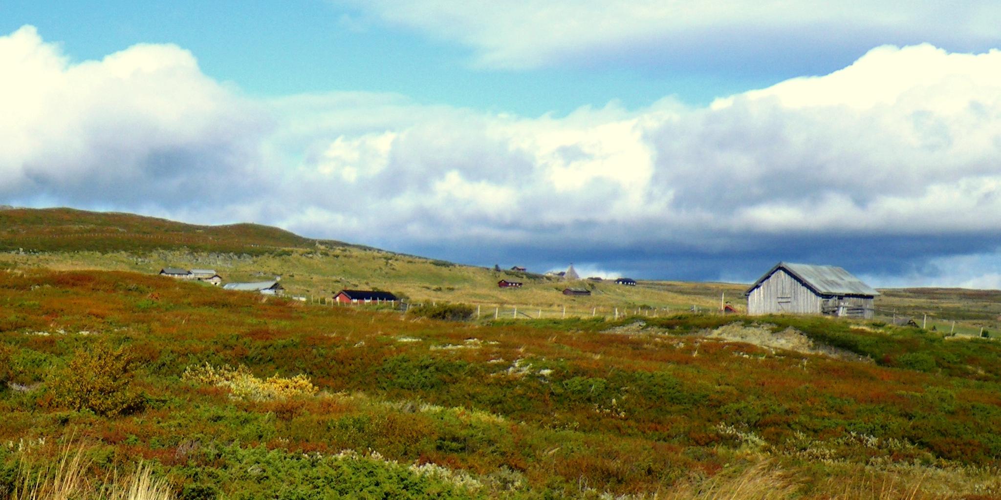høstdag på Trettestølen