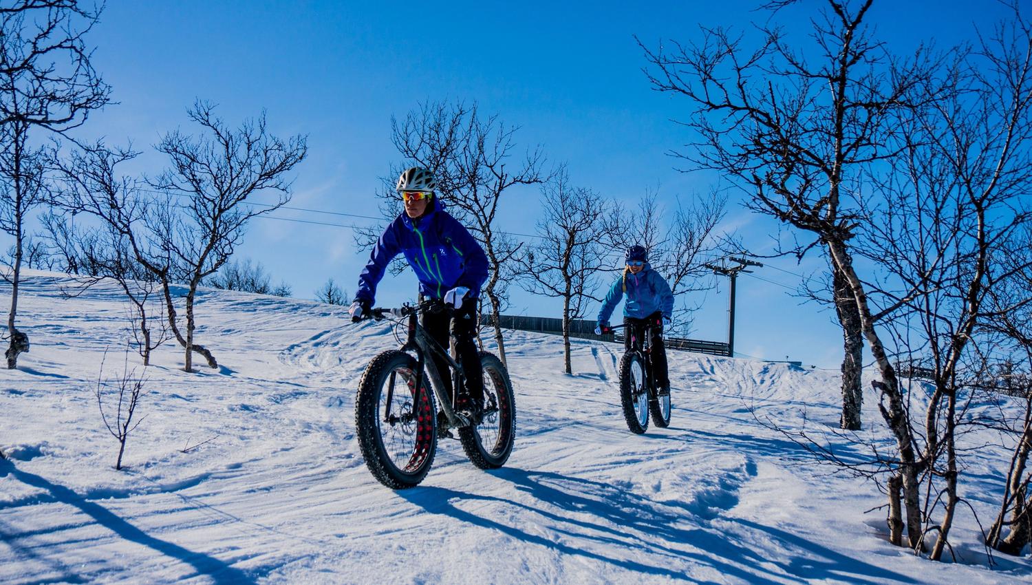 fatbike