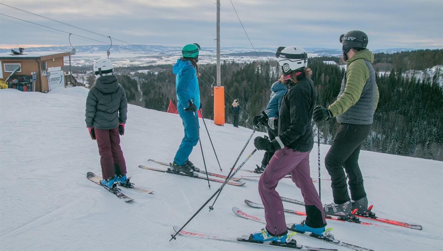 Fire alpenister som står i bakken