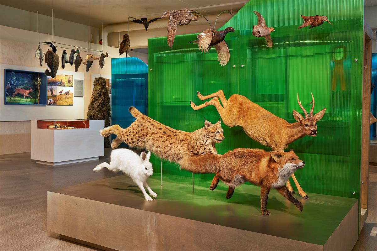 Anno Norsk skogmuseum - Dyr i farta
