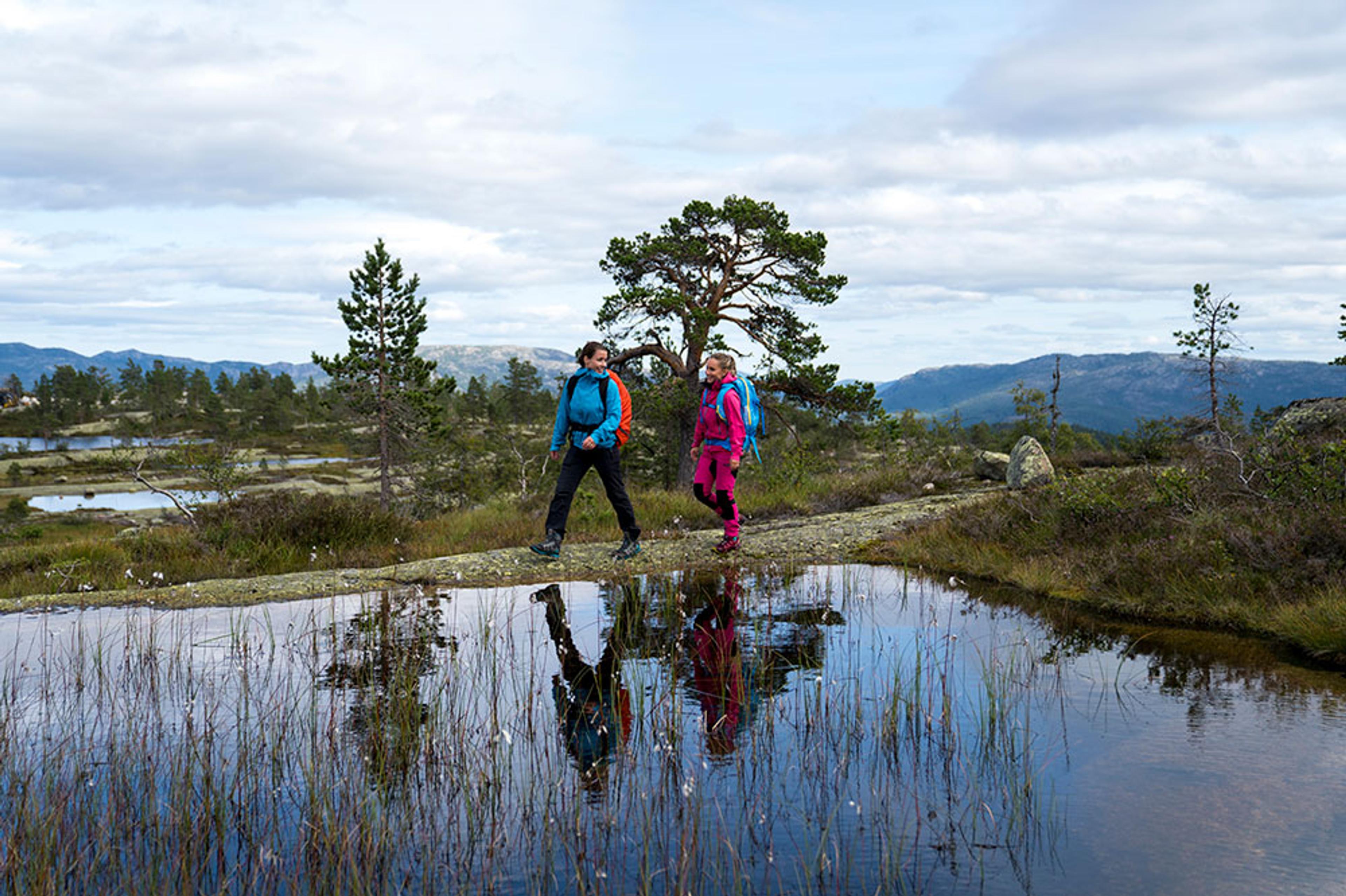 hægefjell foto yngve ask_web
