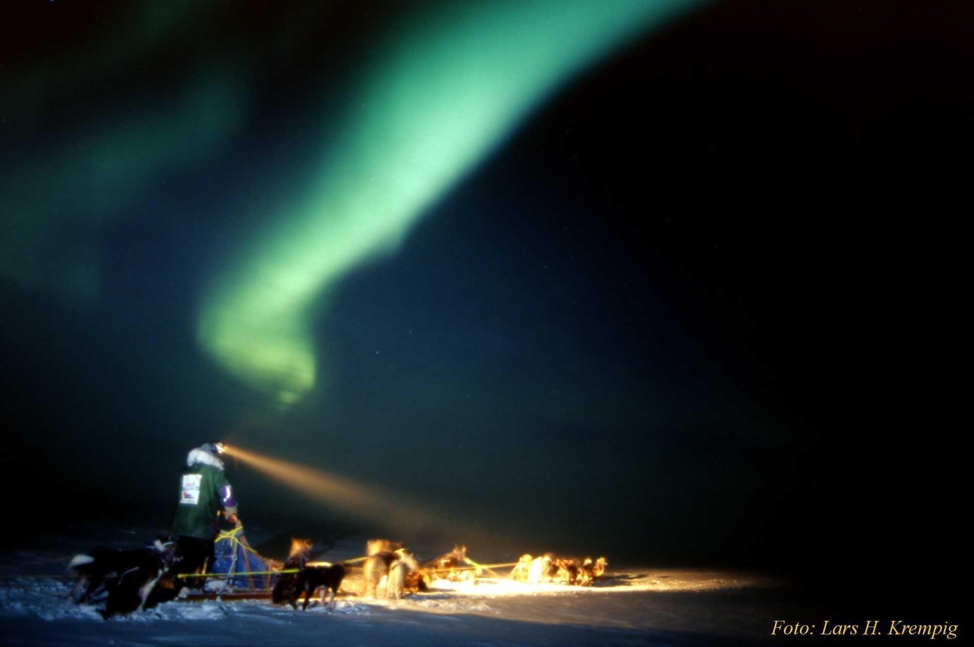 Dogsledding in Lyngen - Eveningtour - Lyngen Outdoor Experiences