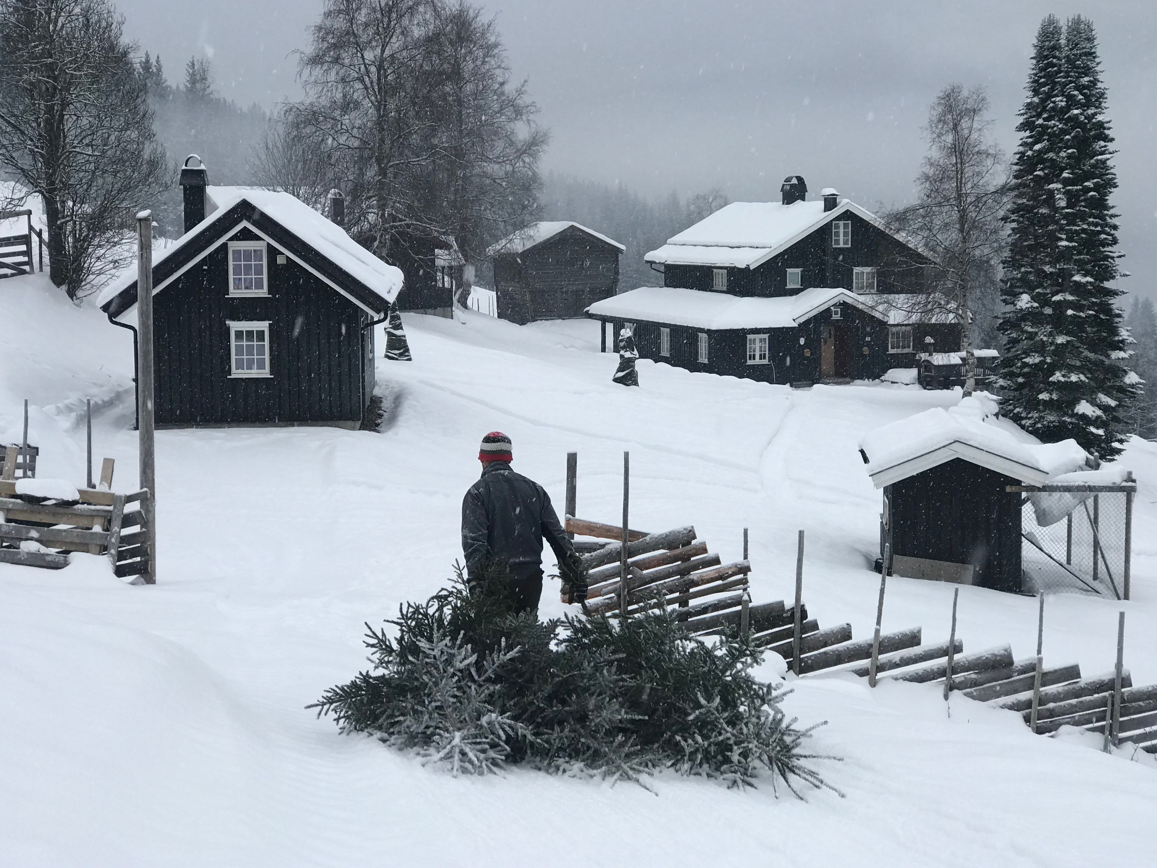 Juleferie - forberedelser