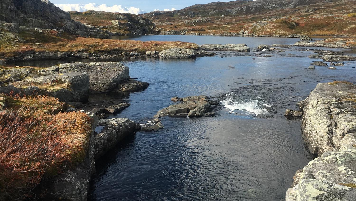 River winding through rocky and heath-covered terrain on Hardangervidda.