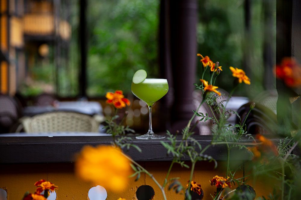 cocktail is on the table