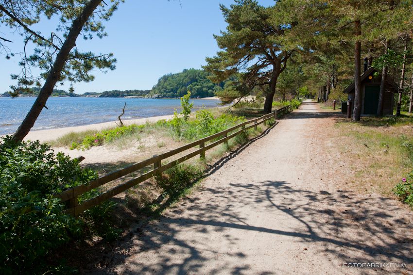 Sti langs sjøstranden