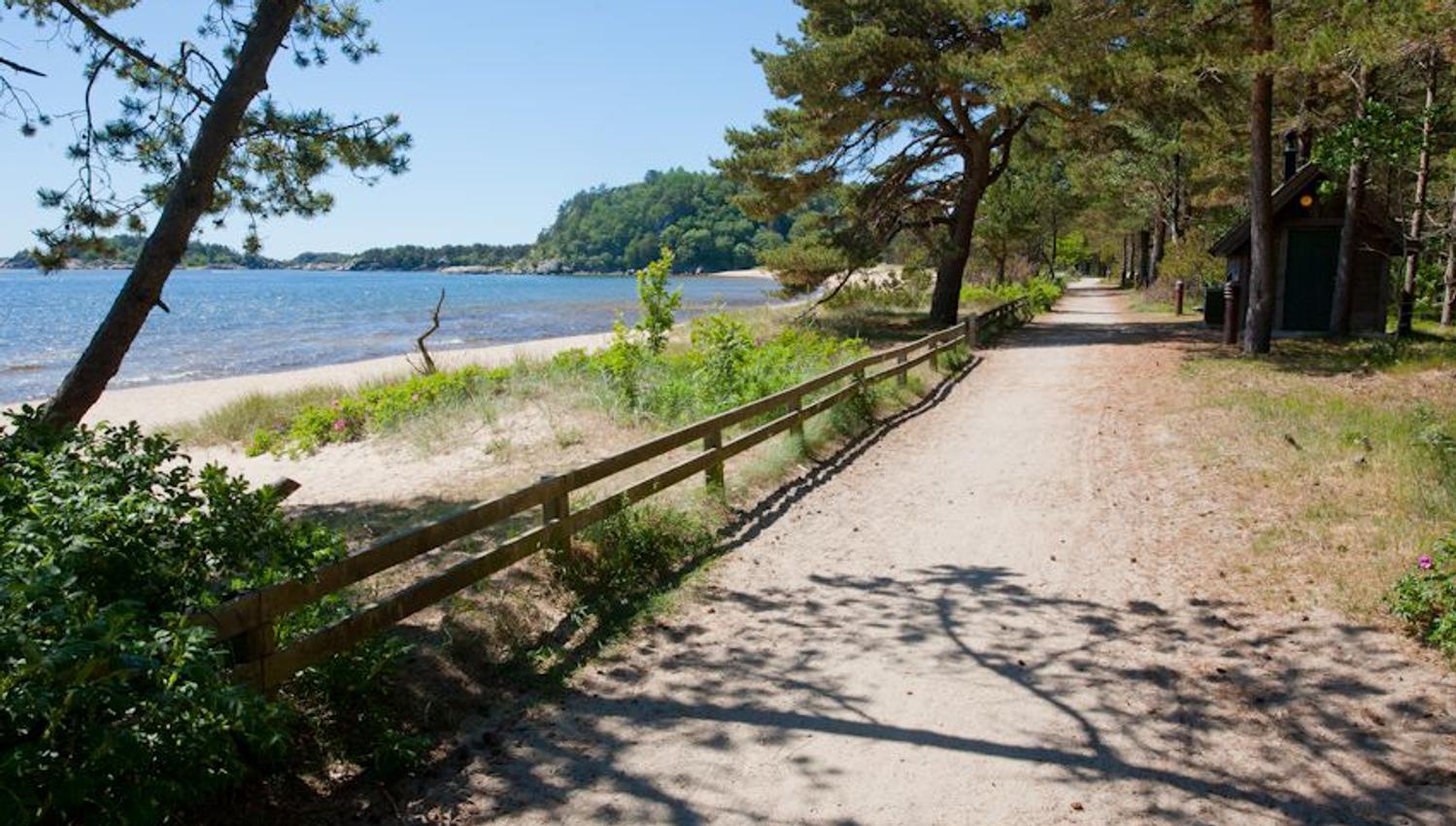 Sti langs sjøstranden