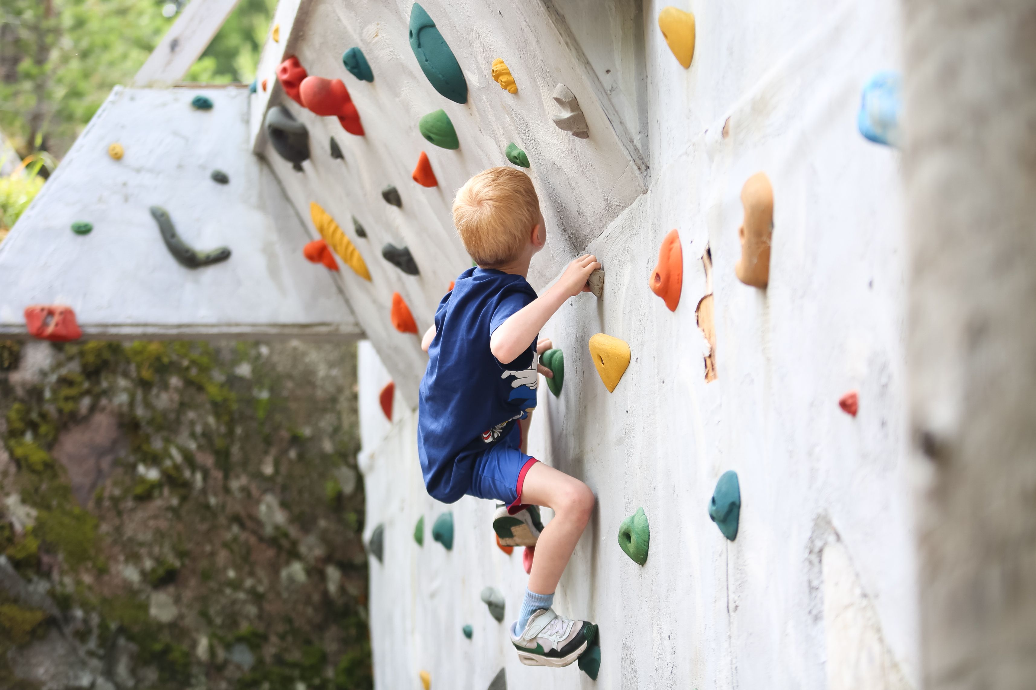 A child climbing on a wall with colorful climbing holds.