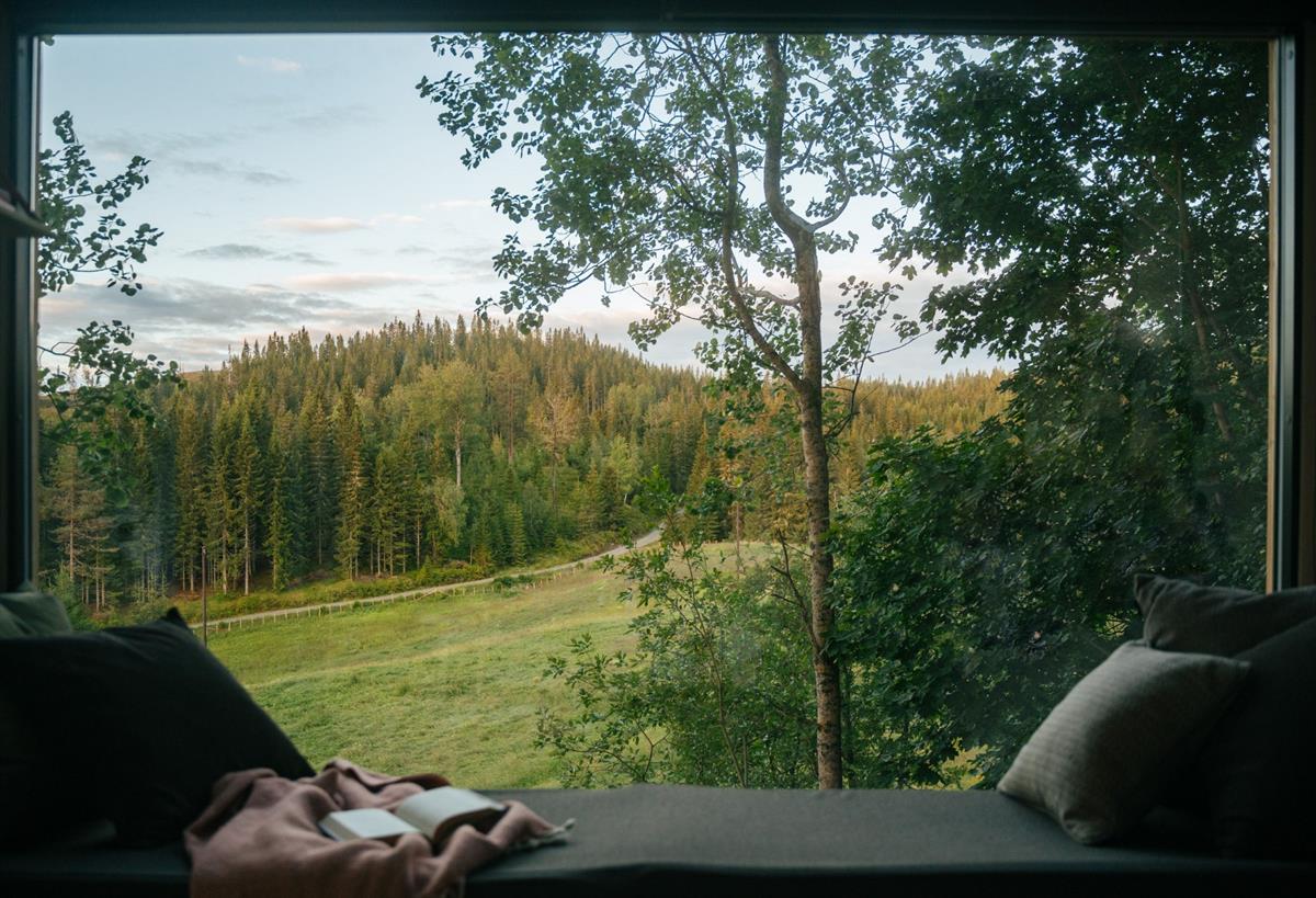 View from inside a cabin toward an open landscape with trees, meadow, and forested hills in the afternoon light.