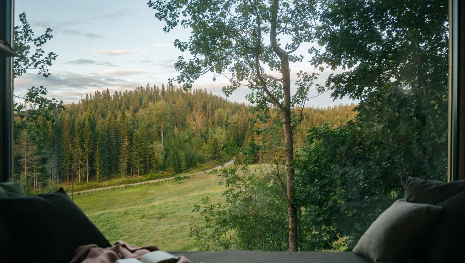 View from inside a cabin toward an open landscape with trees, meadow, and forested hills in the afternoon light.