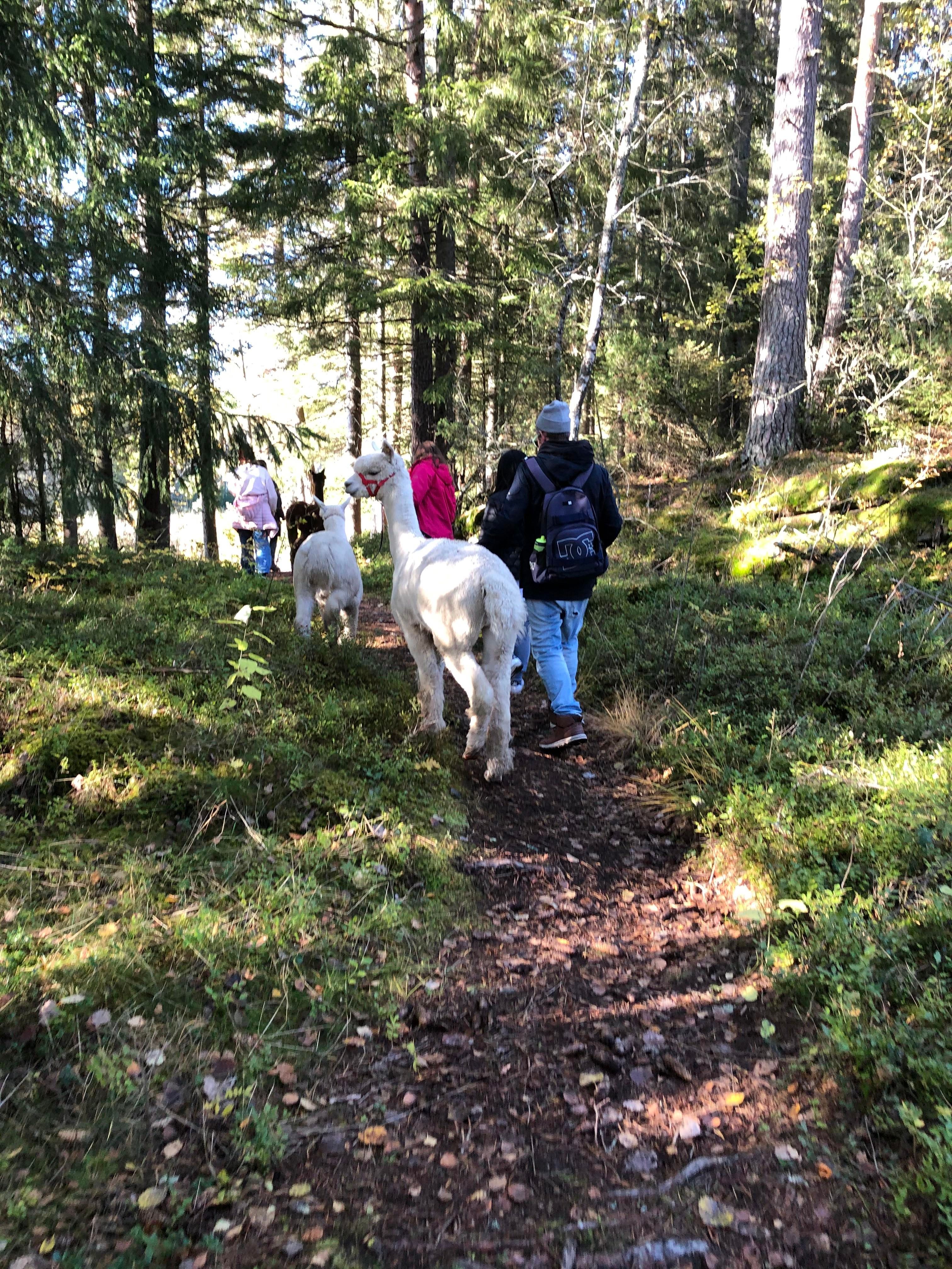 20191013_120304903_iOS