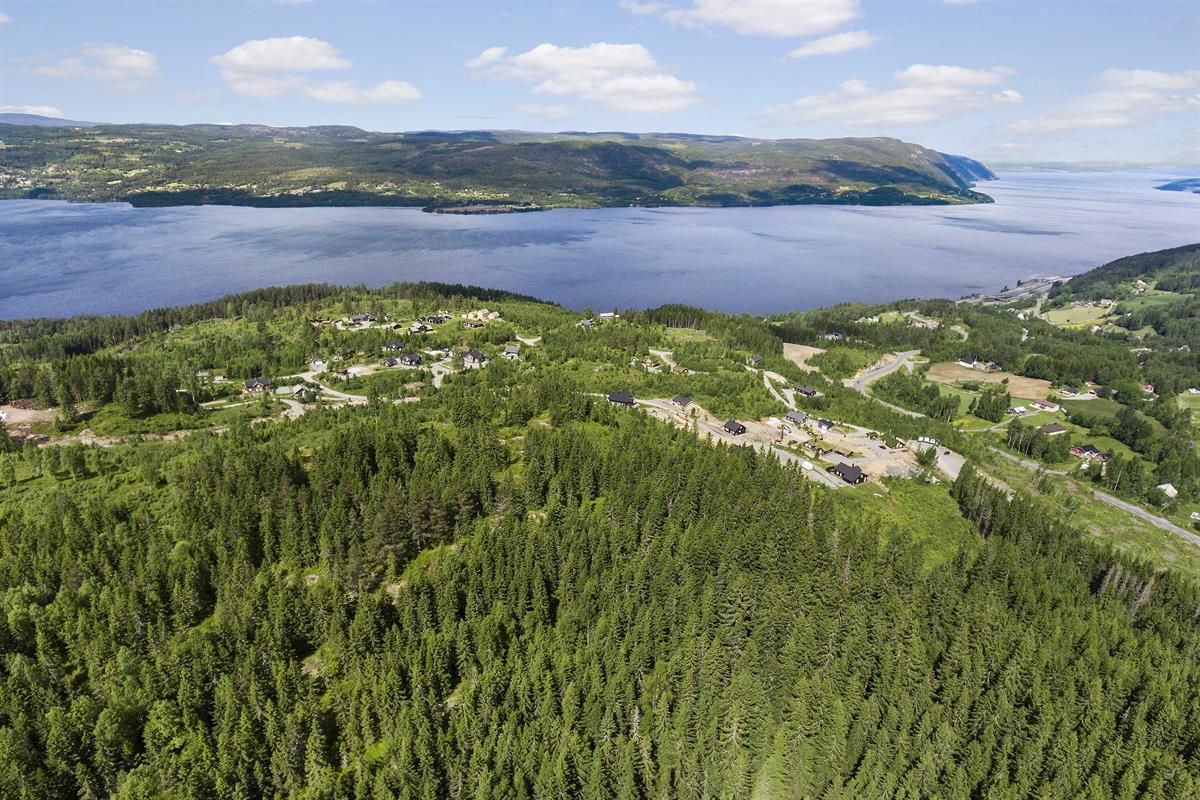 Mjøsli hytteområde