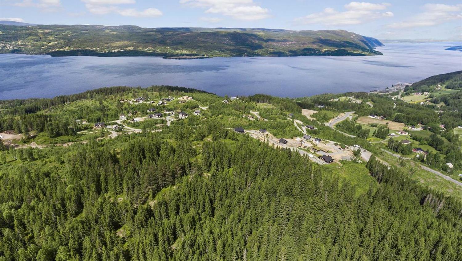 Mjøsli hytteområde