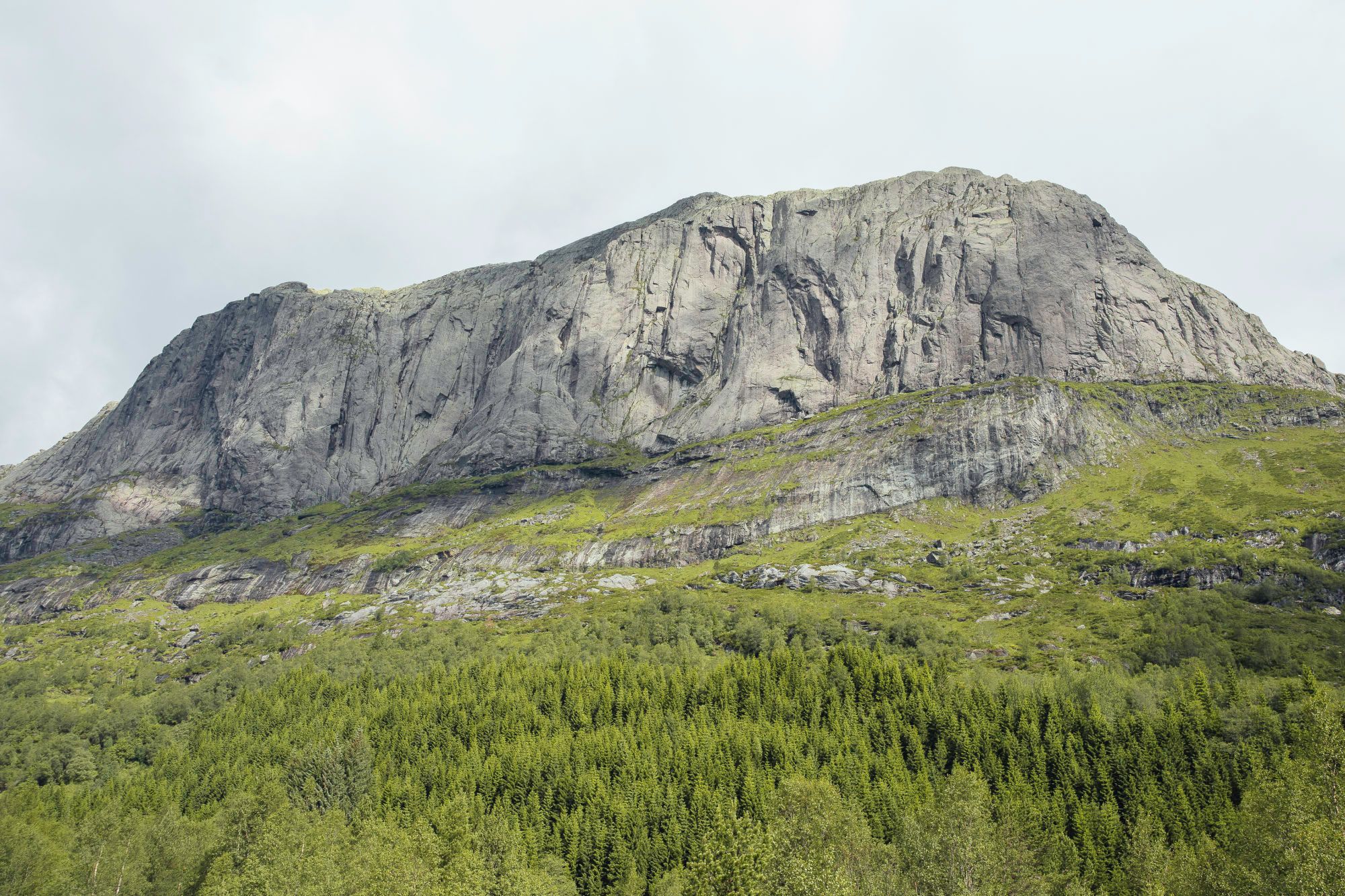 Storehesten Panorama