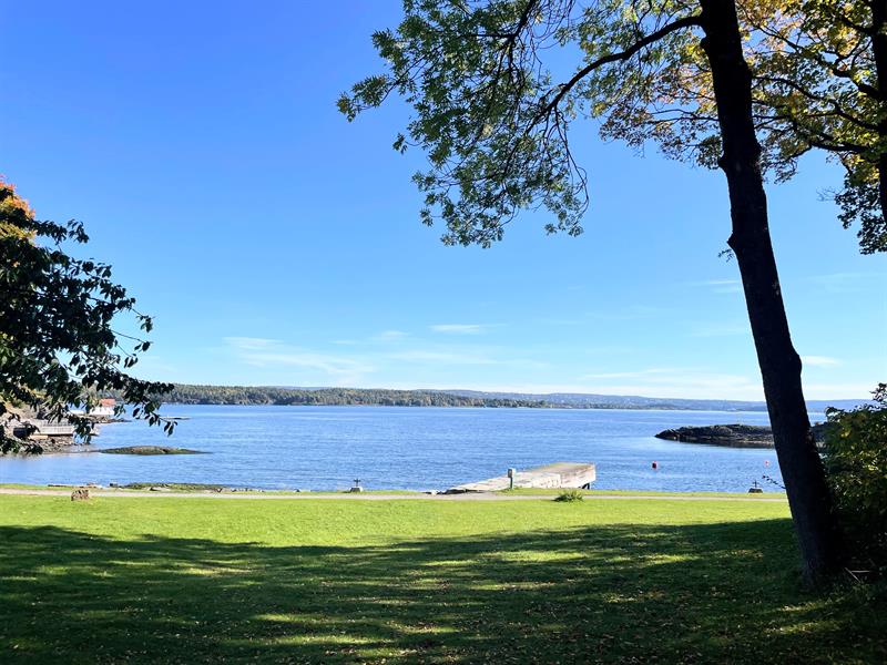 Grønn strand og blått hav