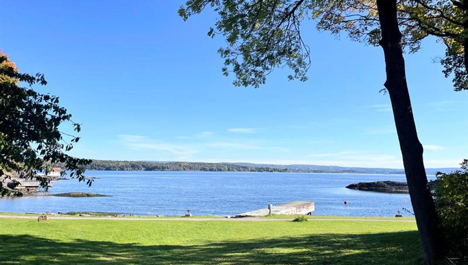 Grønn strand og blått hav