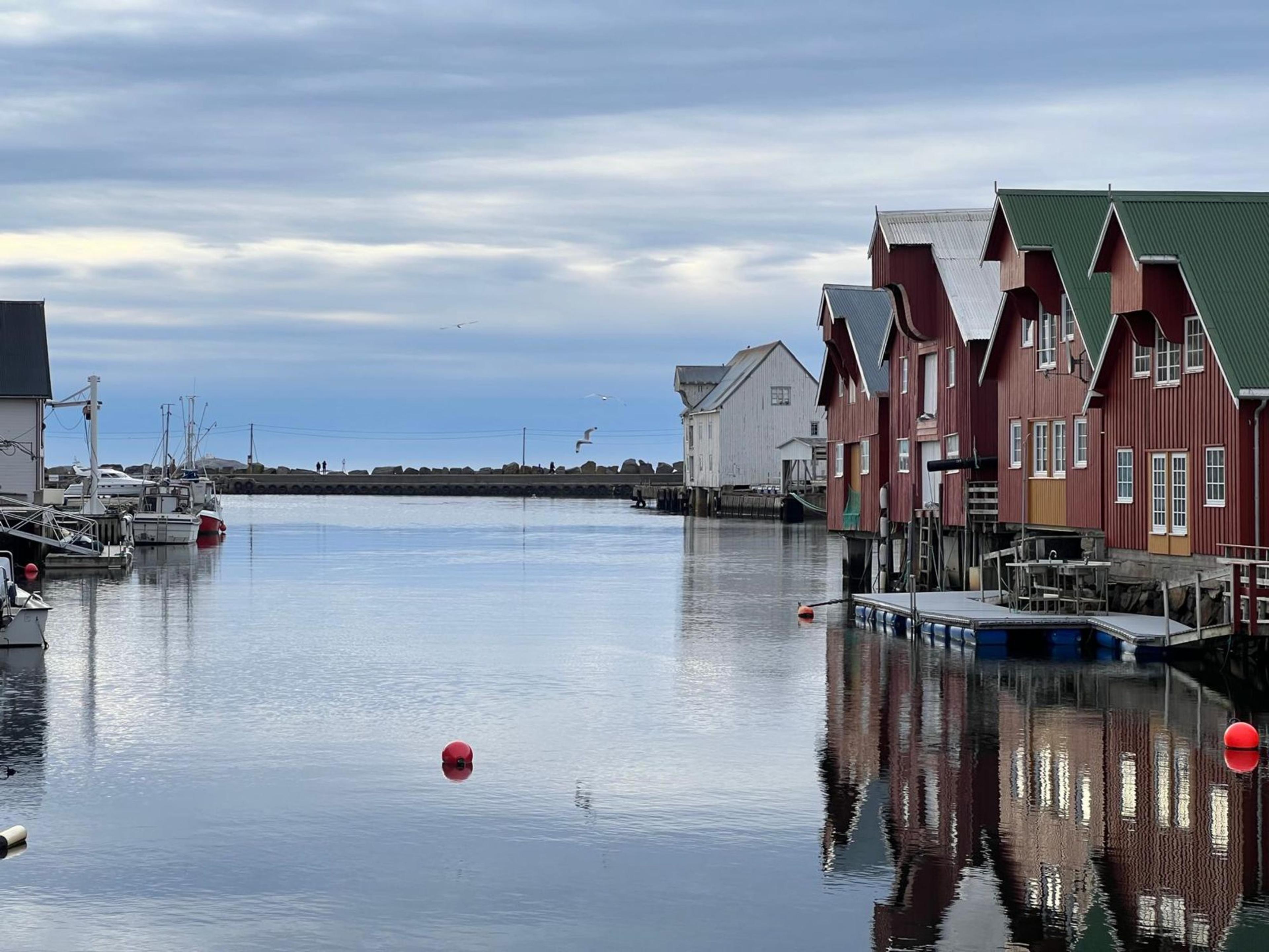 Guidet busstur fra Molde: Få følelsen av Atlanterhavet