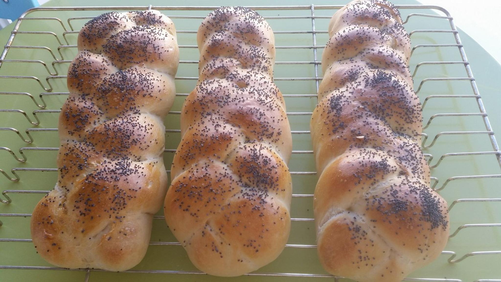 Kortreist lykke i Risør