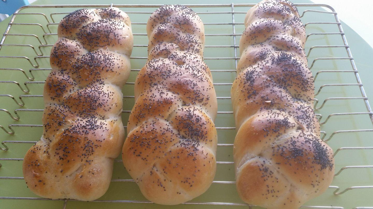 Kortreist lykke i Risør