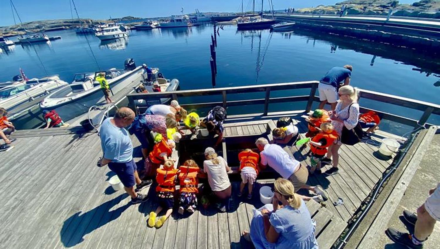 Mange barn og voksne på brygga i forbindelse med Krabbefiskedagen