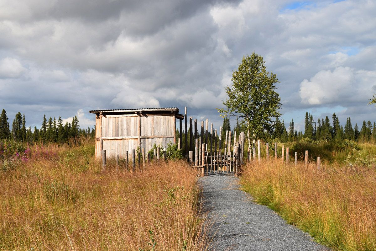 web_Fuglesskjul Kittilbu_DSC_0351_Morten Liebe