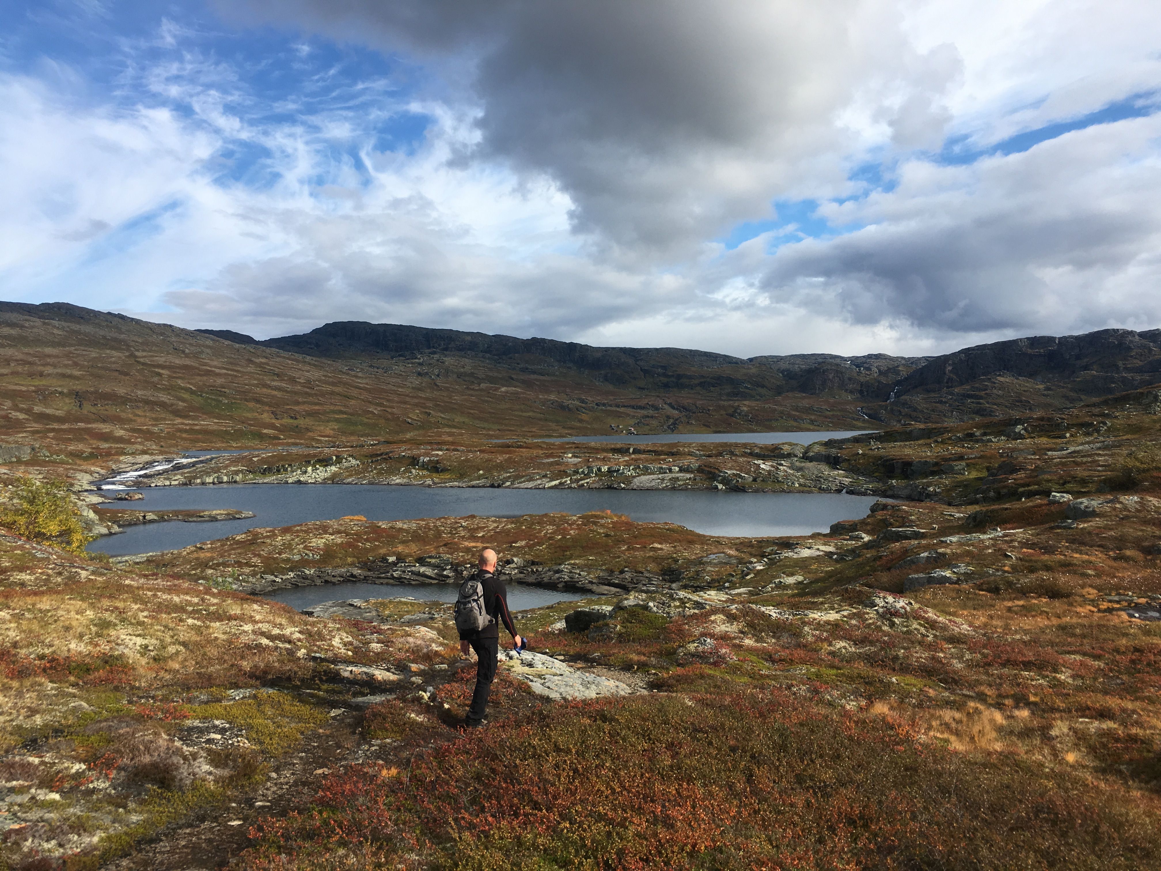 Hiker on Hardangervidda surrounded by lakes, moss and autumn landscapes.