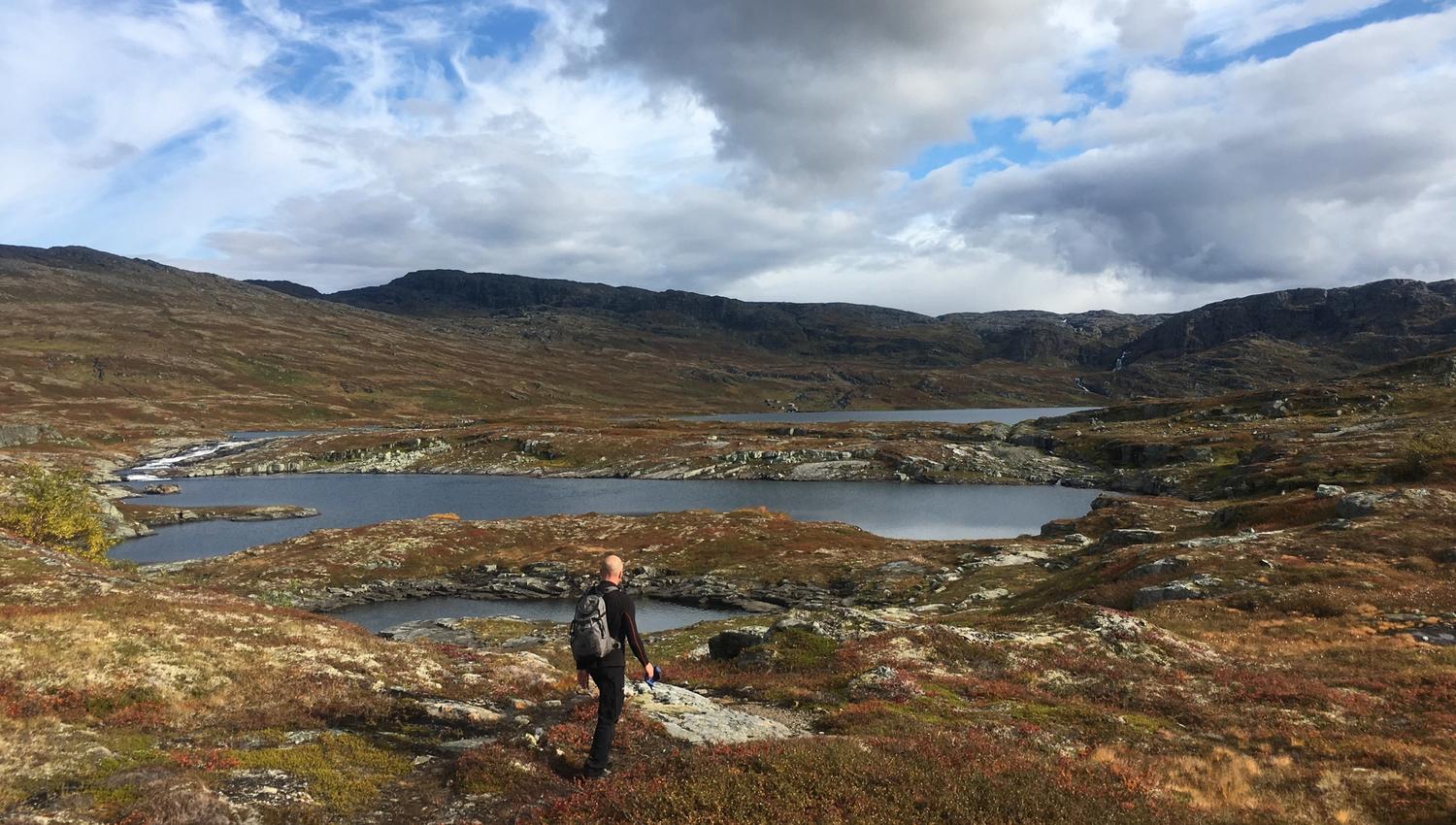 Hiker on Hardangervidda surrounded by lakes, moss and autumn landscapes.