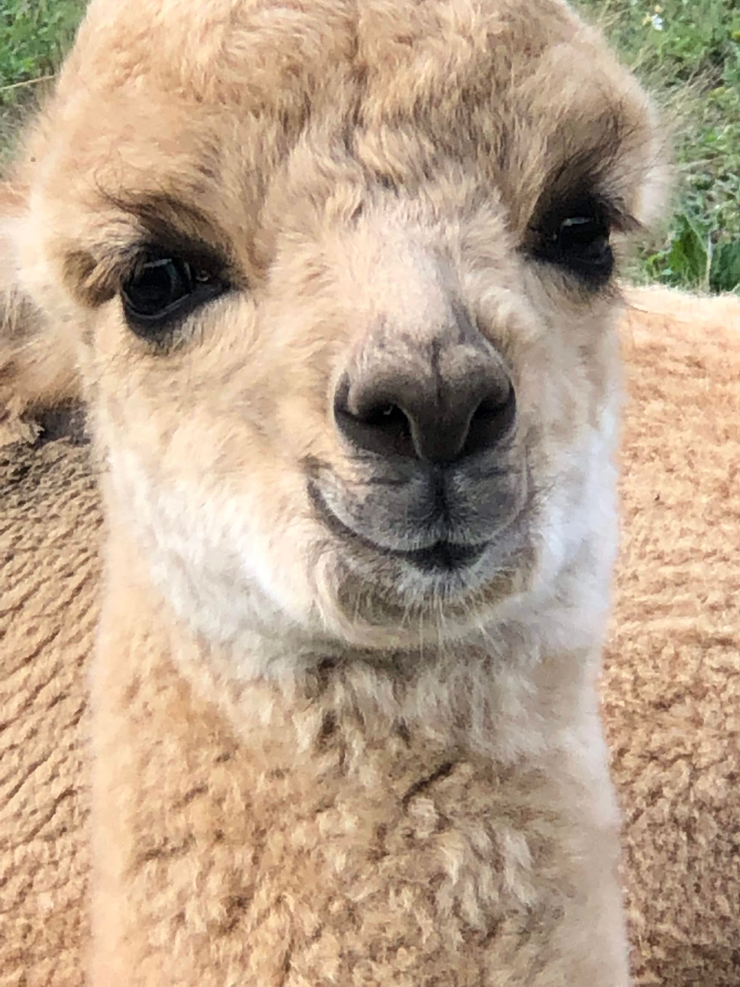 20190812_135514189_iOS