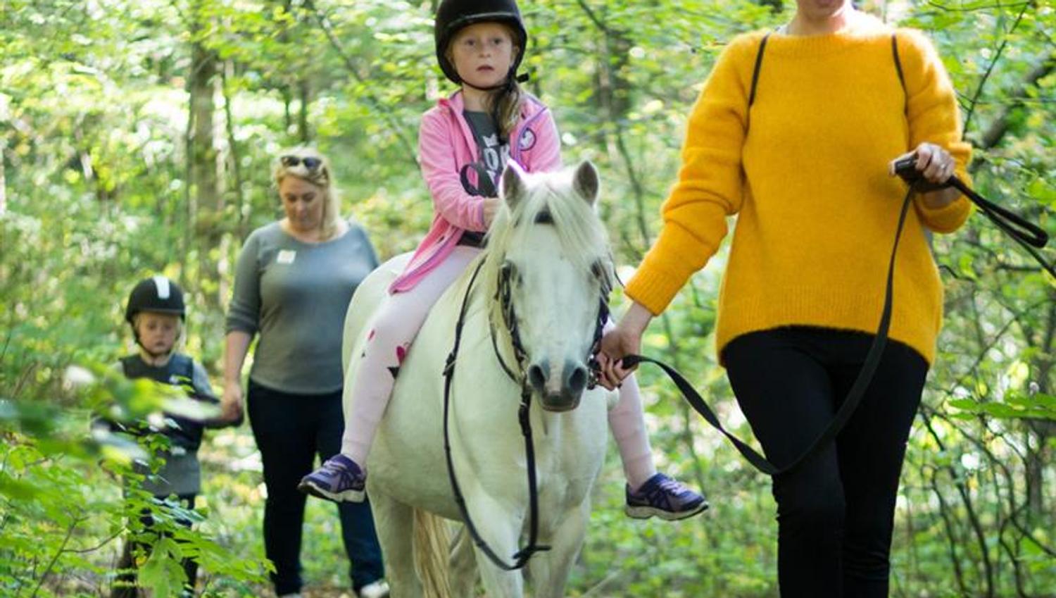 Ridning i skogen.