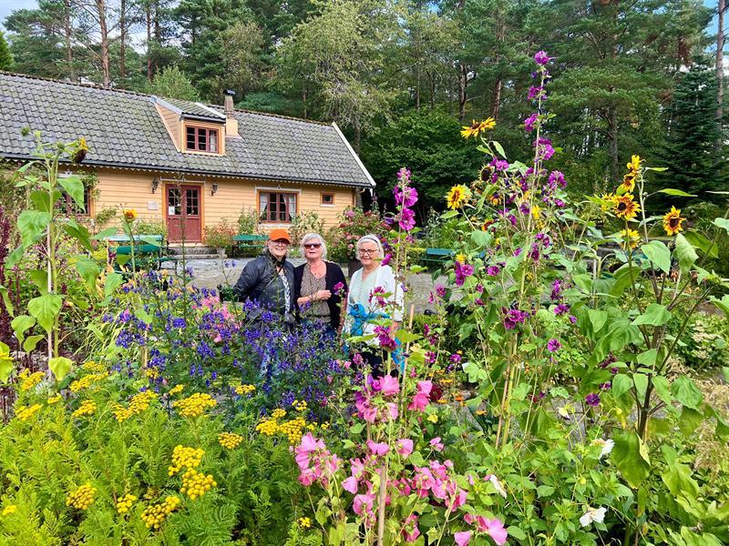 The arboretum and Bergen botanical garden