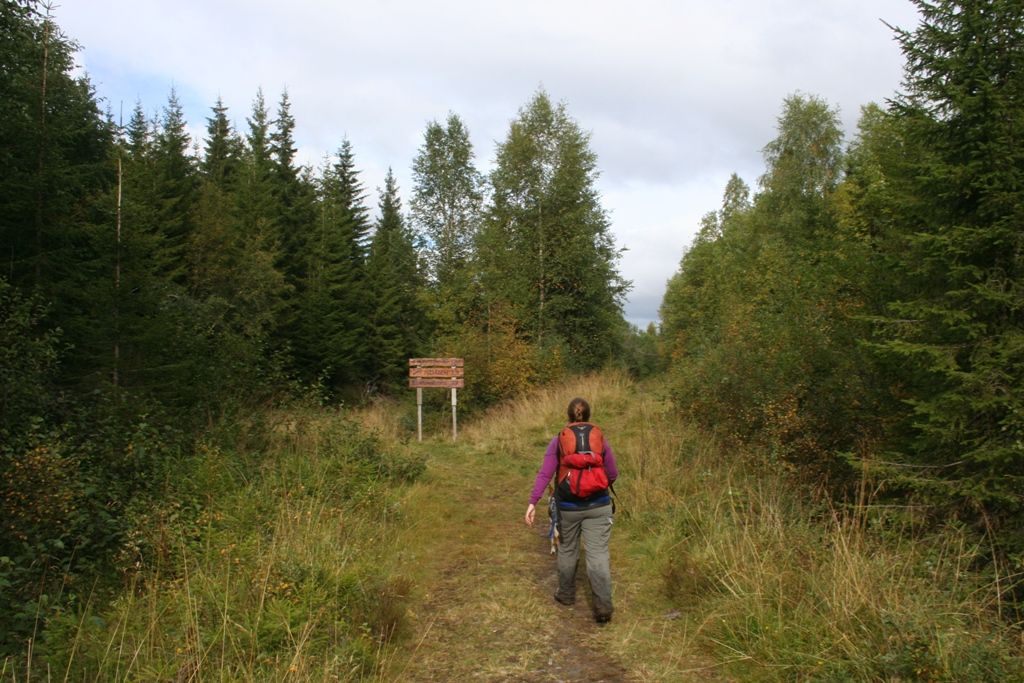 På vei opp til Marsteinvola