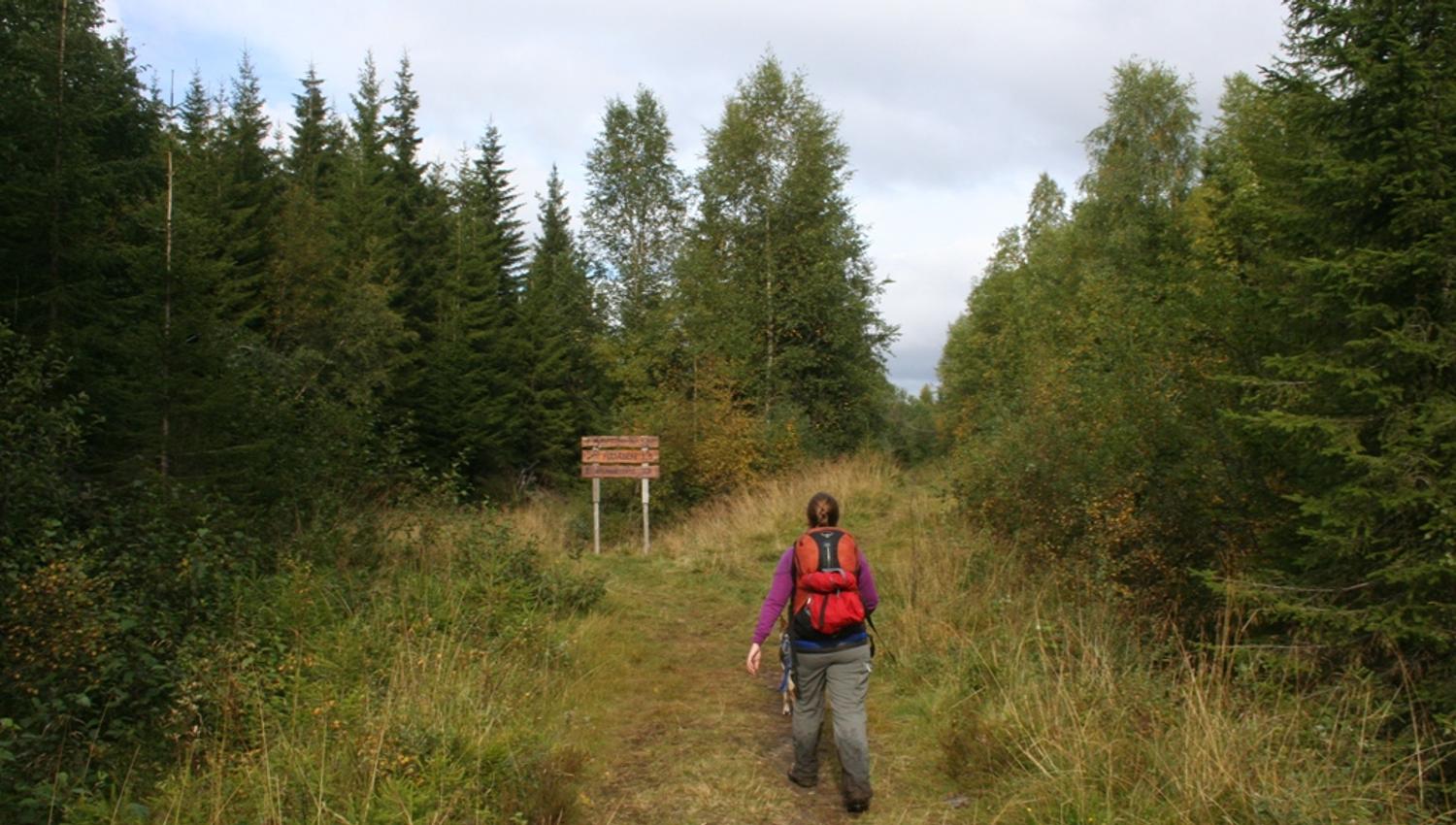 På vei opp til Marsteinvola