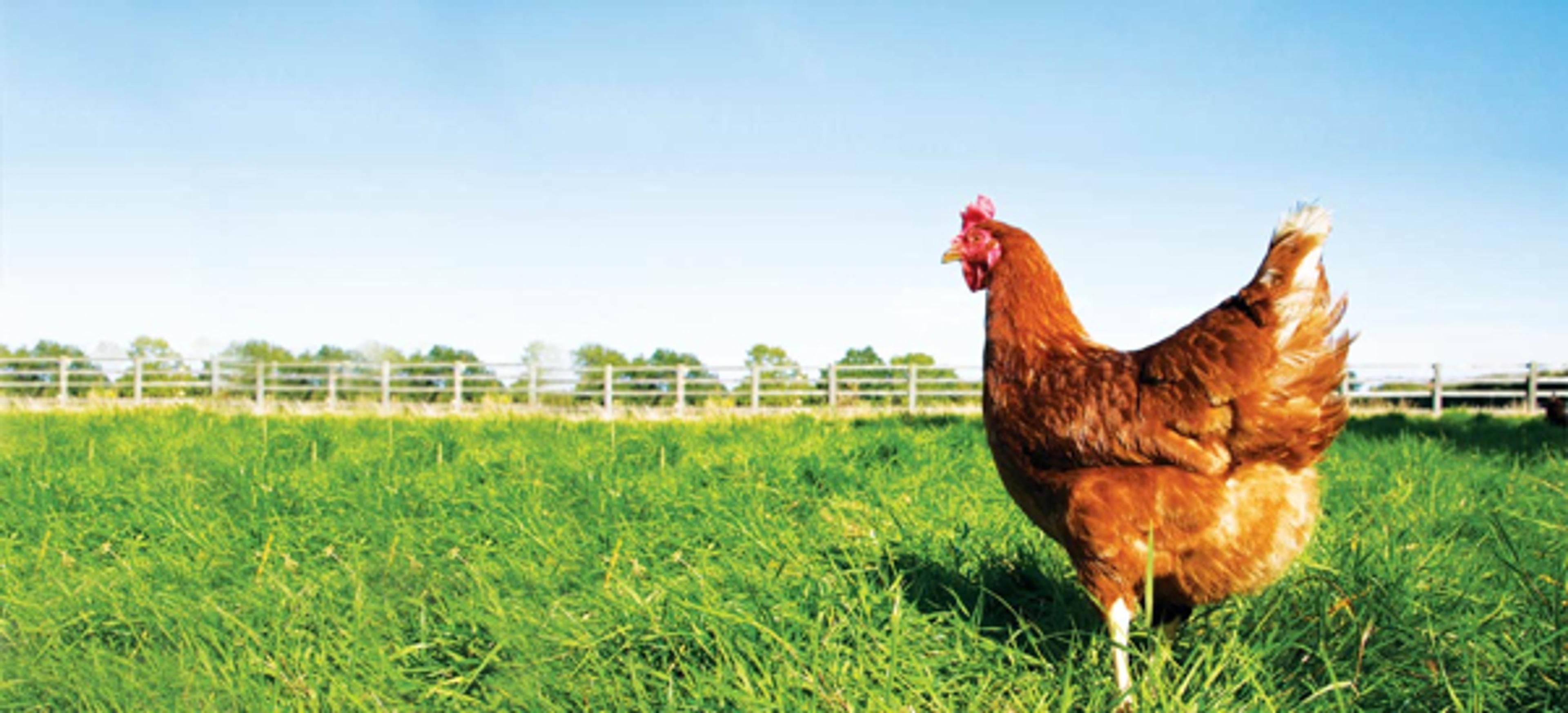 Der Bauernhof in Råde