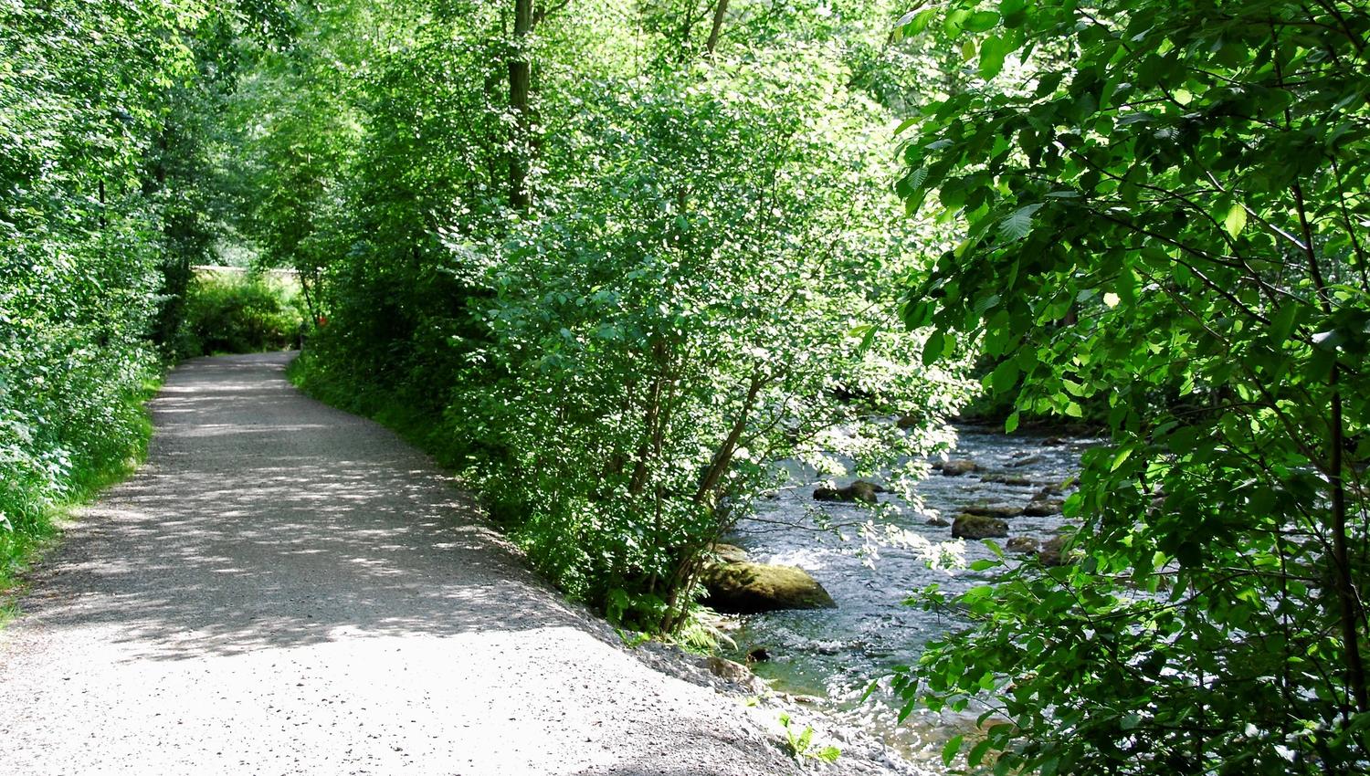 Road along the riverbank.