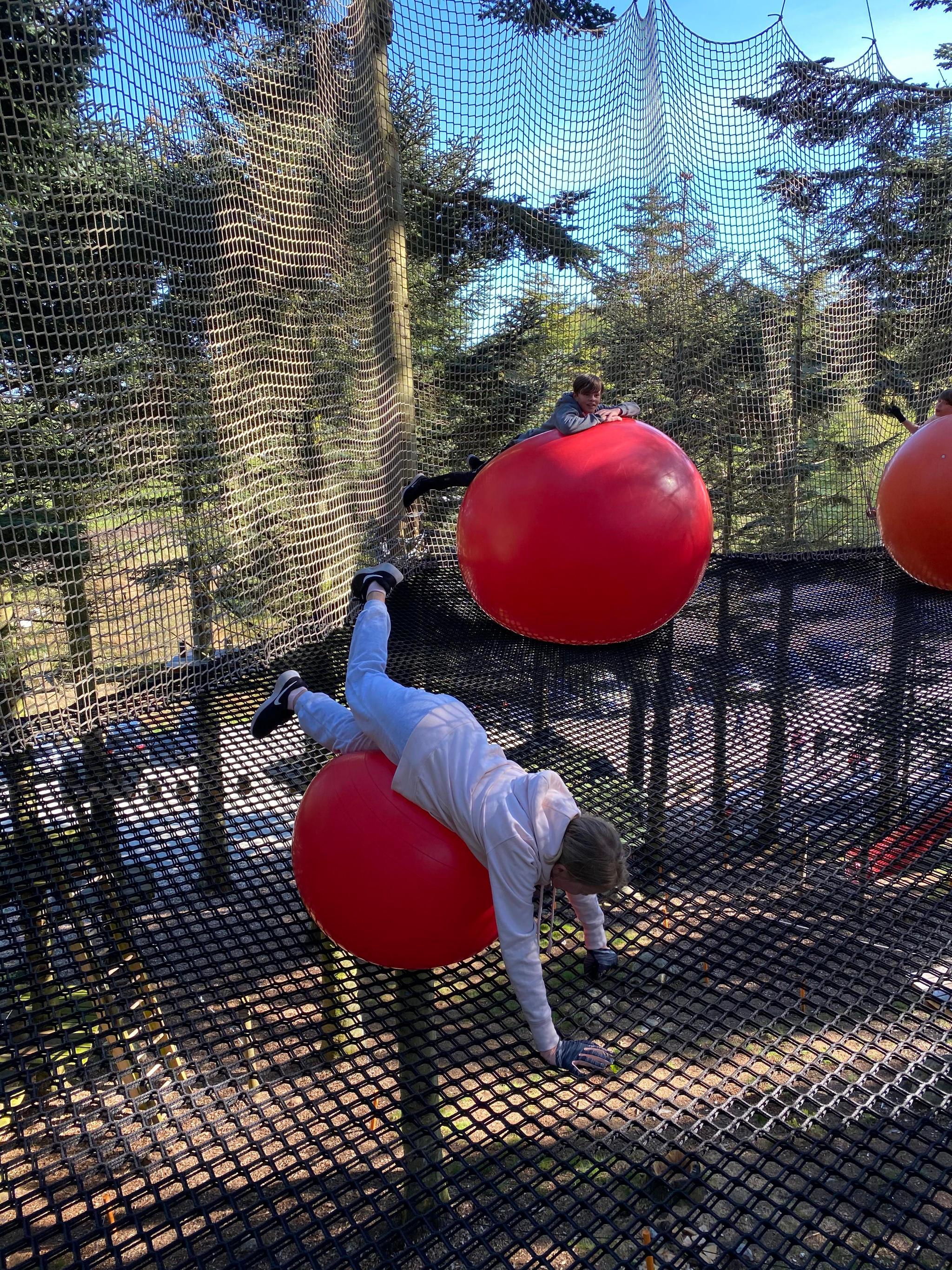 SkogSprett Klatrepark