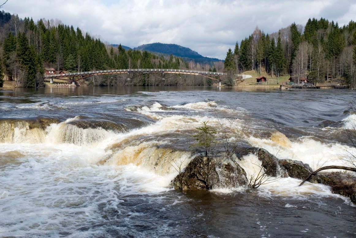 Foss i elva