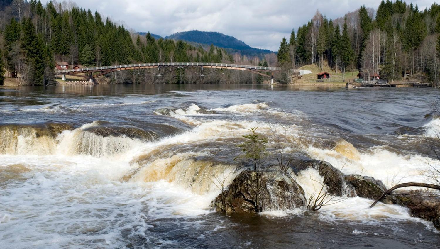 Foss i elva