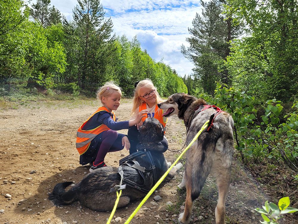 2 jenter klapper hundene fra Telemark Husky Tours