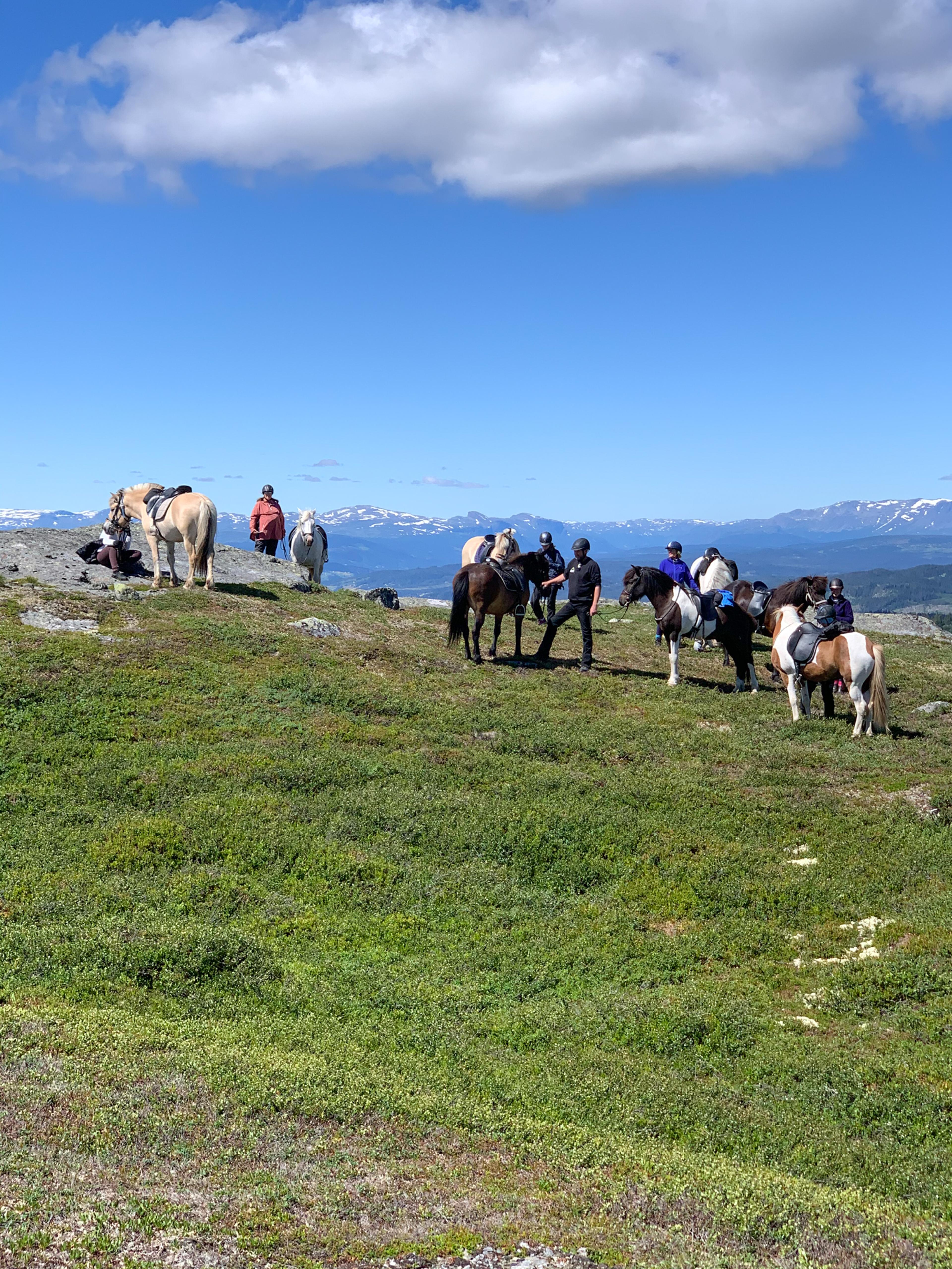 Vassfaret turridning