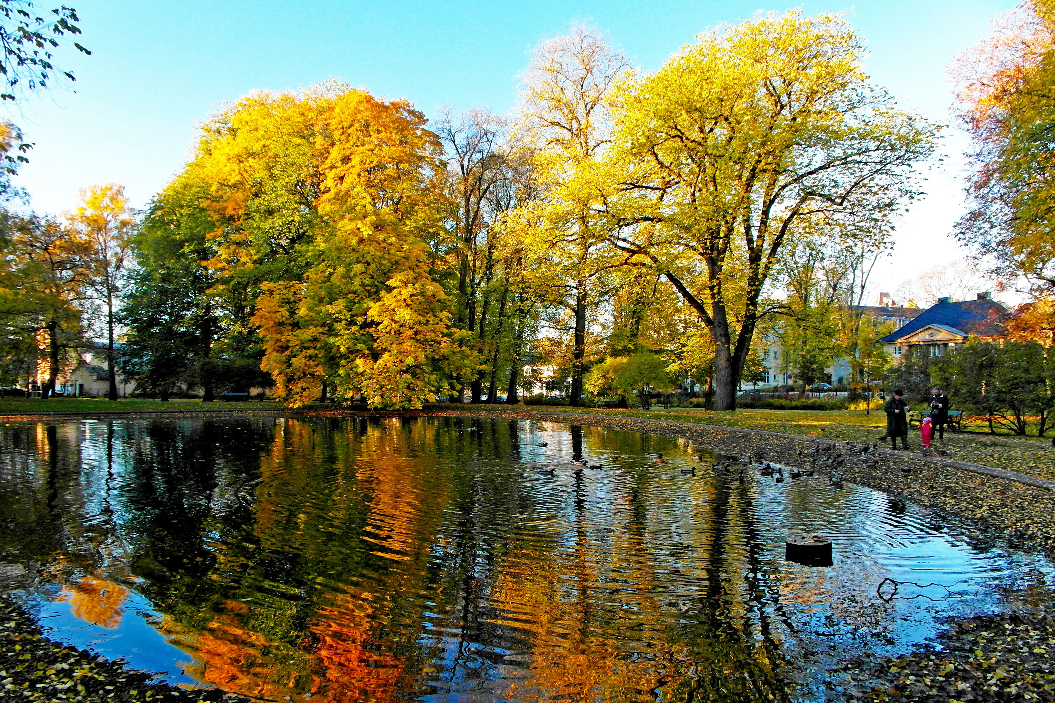 dam i dronningparken