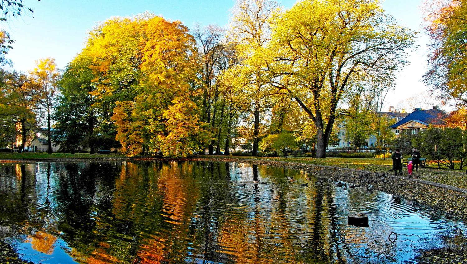 dam i dronningparken
