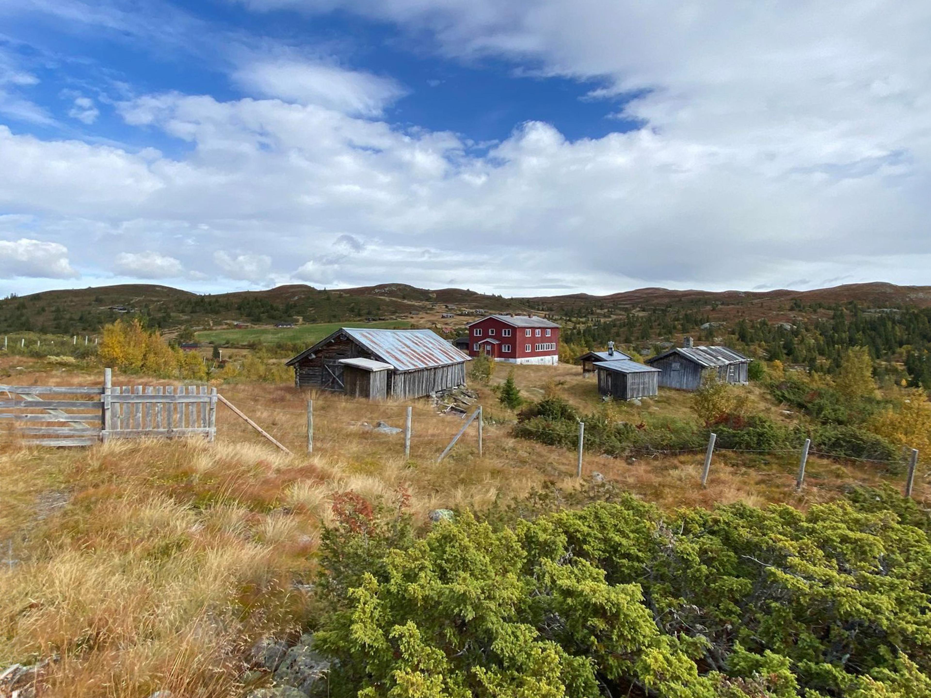 Høst 2 Tone Gåsbakk