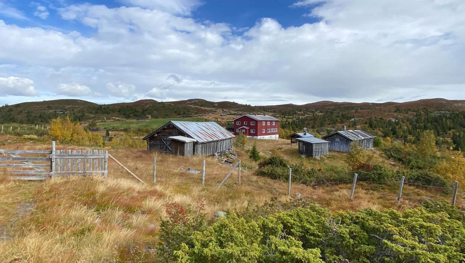 Høst 2 Tone Gåsbakk