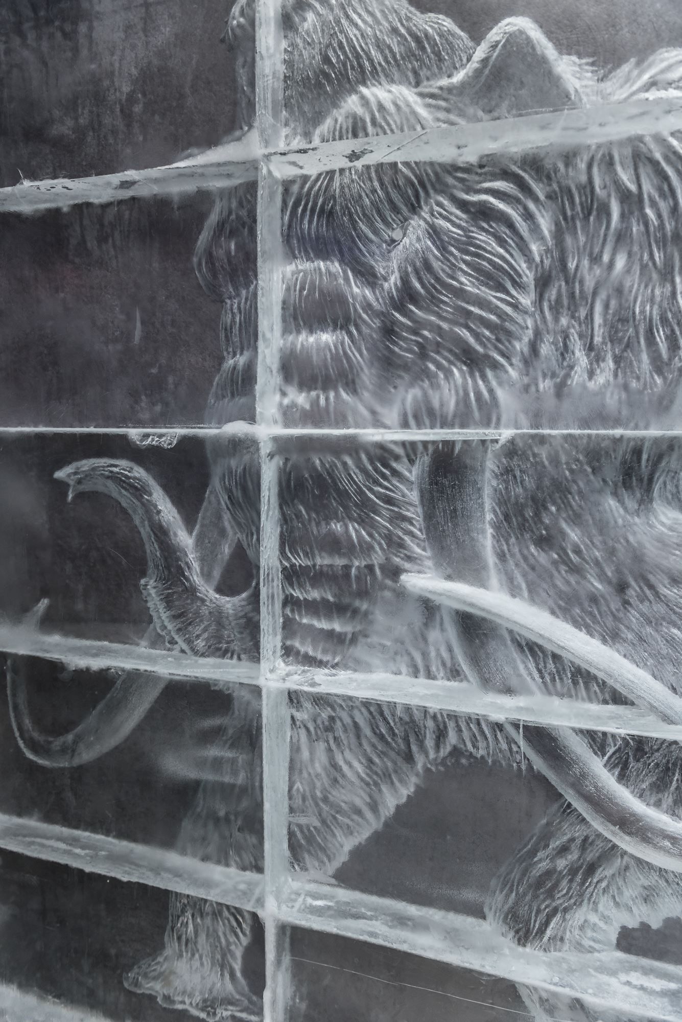 Ice art - Mammoth