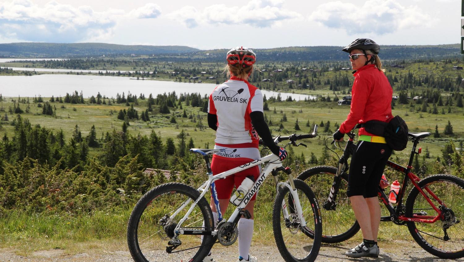 Cycling at Sjusjøen